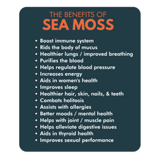 Load image into Gallery viewer, 16oz Wildcrafted Gold Sea Moss Gel, Immune Support 100% Natural
